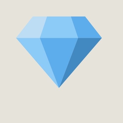 Premium Executive Plan